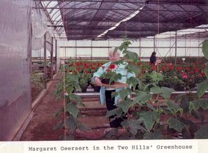 Two Hills Greenhouse