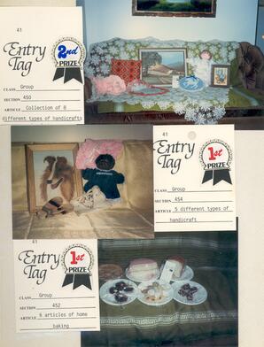 Craft Fair Entries