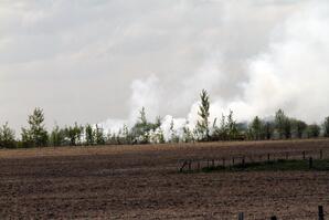 Burning Brush, Barrhead