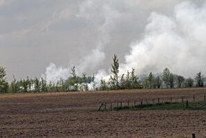 Burning Brush, Barrhead