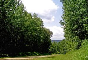 Country Road