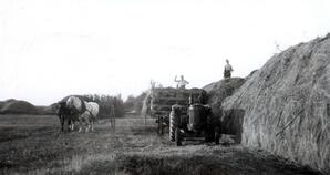 Traditional Haying with Horse and Tractor