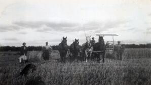 Harvesting