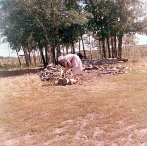 At the Woodpile