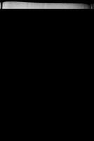Zwiazkowiec Alliancer, December 21, 1963