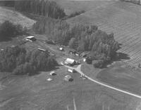Walker's Farm