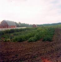 Restored Barn