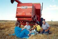 Lunchtime at harvest