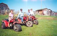 Trikes