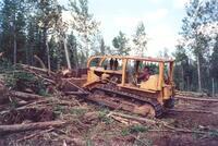 Ernie Hall on the D8 Cat