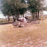 At the Woodpile