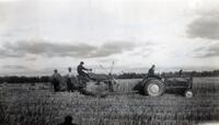 Bindering Grain