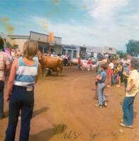 Boyle Fiesta Days Parade