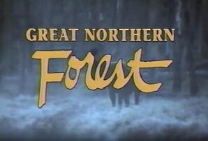 Great Northern Forest