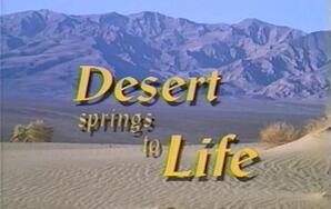 Desert Springs to Life