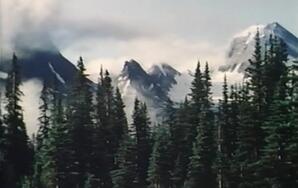 Wildlife in Action Volume VI - Lure of the Rockies - Animals in Action