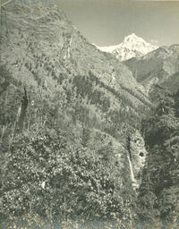 Miroslav Hruska Trekking Expedition