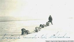 One man standing behind a dog sled team. The dogs are all lying on the ground and it is wintertime, [Alberta]. Note on the front reads: "Westword Bound - Lake Athabaska".