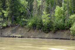 Erosion - Athabasca River