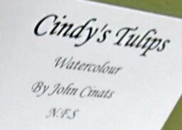 Description of Cindy's Tulips