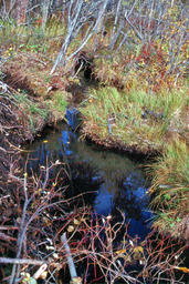 Beaver Canal-01