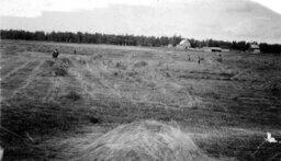 Ernst J. Shank Family Farm