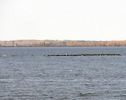 Larger Pelican Island at Sir Winston Churchill Provincial Park, Lac la Biche, AB-01