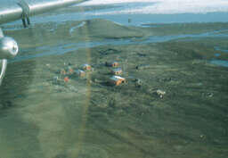 Airdrop at Mould Bay