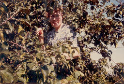 Woman in Tree