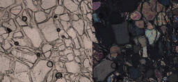 Olivine (thin section)