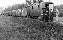 Railroad Cars Loaded with Firewood