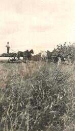 Harvesting