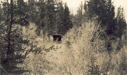 Log Cabin
