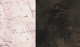 Plagioclase Feldspar (thin section)
