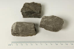Shale