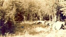 Hunting - 02
