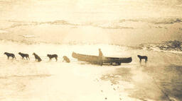 Dog Team - 07