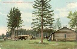 A Homestead on Lesser Slave River