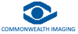 CWI Logo