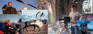 Karvonen Films Natural History